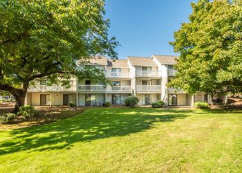 the preserve at ballantyne commons apartment community yard and trees